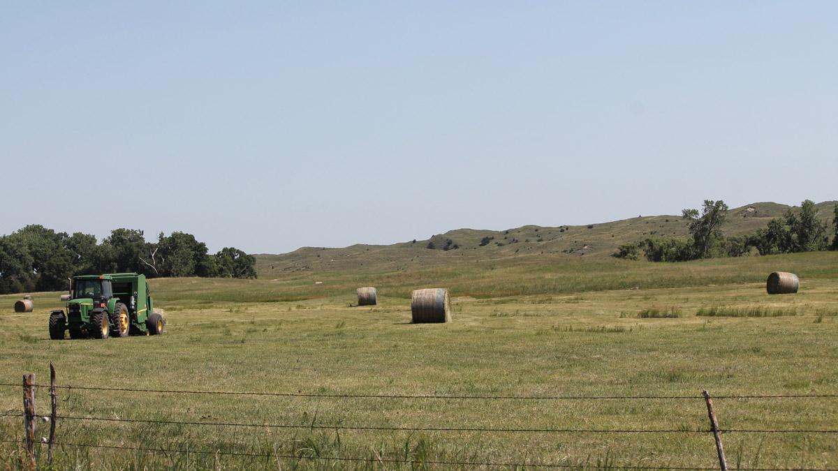 Farm Service Agency Encourages Producers to Submit Applications for 2022 Grazing Loss Assistance by Jan. 30