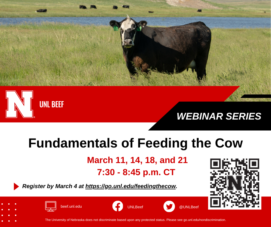 Fundamentals of Feeding the Cow Webinar Series