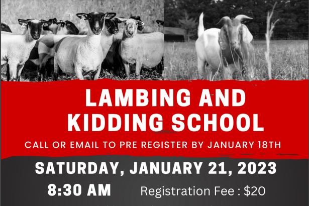 2023 Eastern Lambing and Kidding School on January 21st